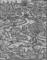 .  (, 1517)