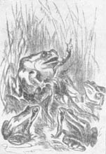 - (, 1937). . . 