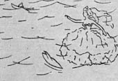    (--, 1959).  . . 