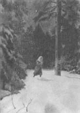«Русский лес» (Москва, 1956). Илл. П. Караченцова.