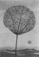    (, 1959).  . .