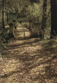 «Чертов мост» в парке. Современная фотография