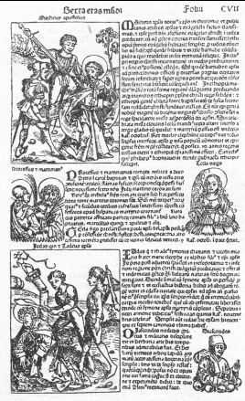 Аукцион №14(53) Старинные и редкие книги, карты, гравюры by Kabinet Auktion - Issuu