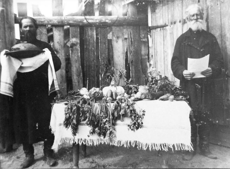 Крестьяне Колонецкого хутора встречают министерскую инспекцию (из альбома В. Ф. Джунковского)